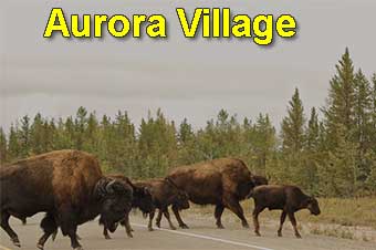 Aurora Village